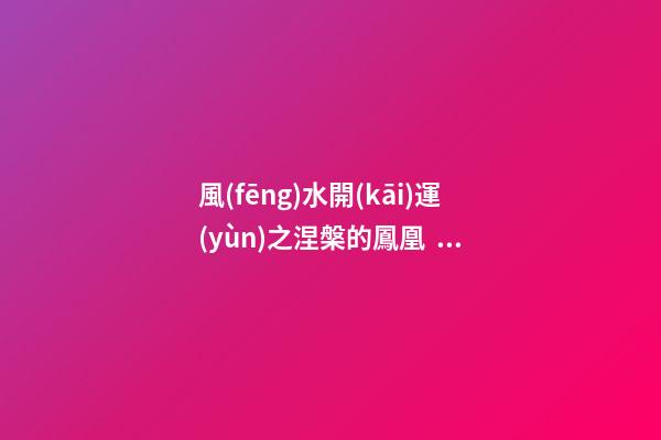 風(fēng)水開(kāi)運(yùn)之涅槃的鳳凰，哀婉的風(fēng)水
